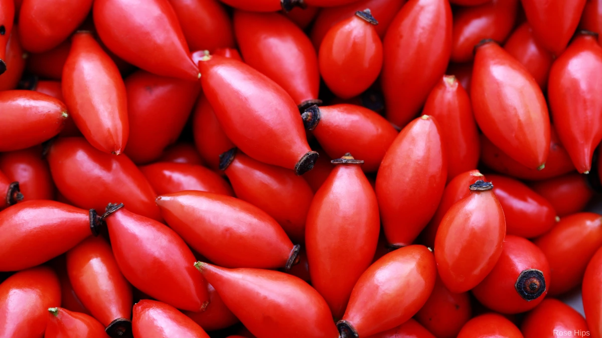 Rose Hip Chutney